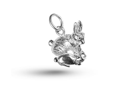 White gold Rabbit and Baby charm.