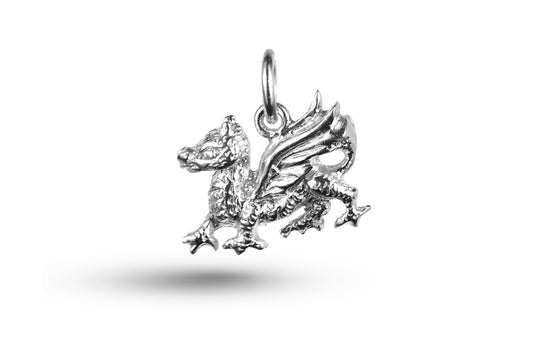 White gold Dragon charm.