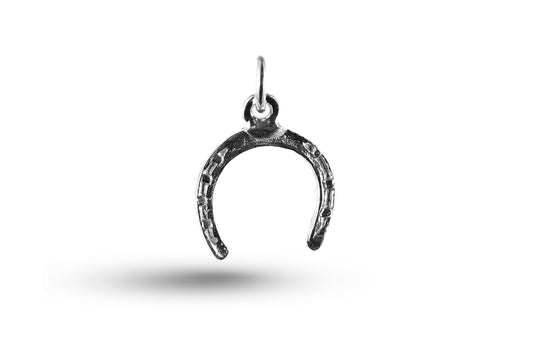 White gold Horseshoe charm.