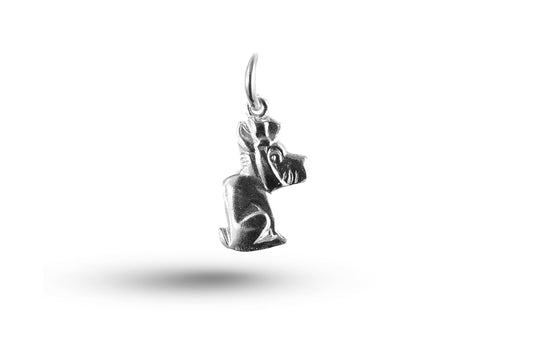 White gold Dog with Toothache Charm.