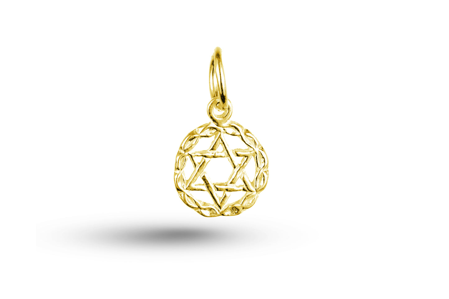 Yellow gold Star of David in Circle charm.