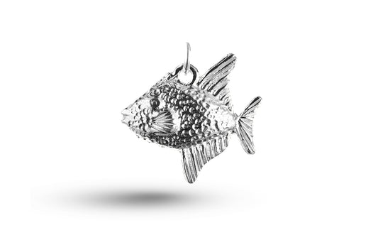 White gold Large Fish charm.