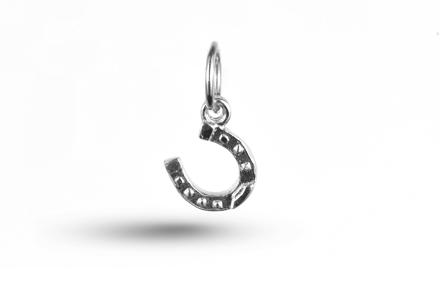 Western Horseshoe Charm