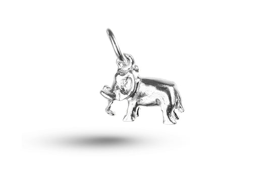 White gold Elephant charm.