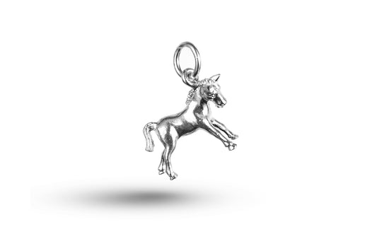 White gold Pony charm.