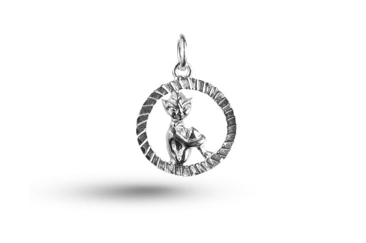 White gold Pixie in Circle charm.