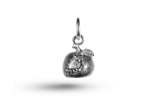 White gold Worm in Apple charm.